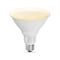Feit Electric Feit PAR38 E26 (Medium) LED Bulb Adjustable White 90 Watt Equivalence 2 pk PAR38DM/6WYCA/2 - alternate 2